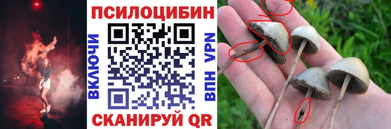 Галлюциногенные грибы GOLDEN TEACHER OMG вход Сунжа купить