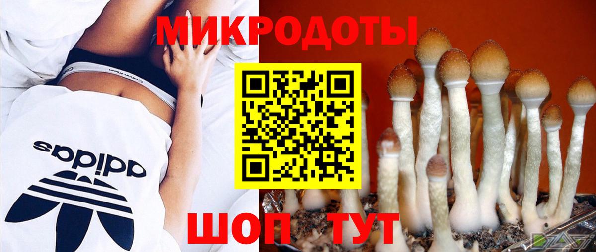 Псилоцибиновые грибы Psilocybine cubensis  Вход с VPN  как найти закладки  Сунжа 