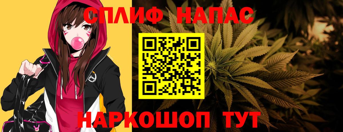 Конопля конопля Сунжа